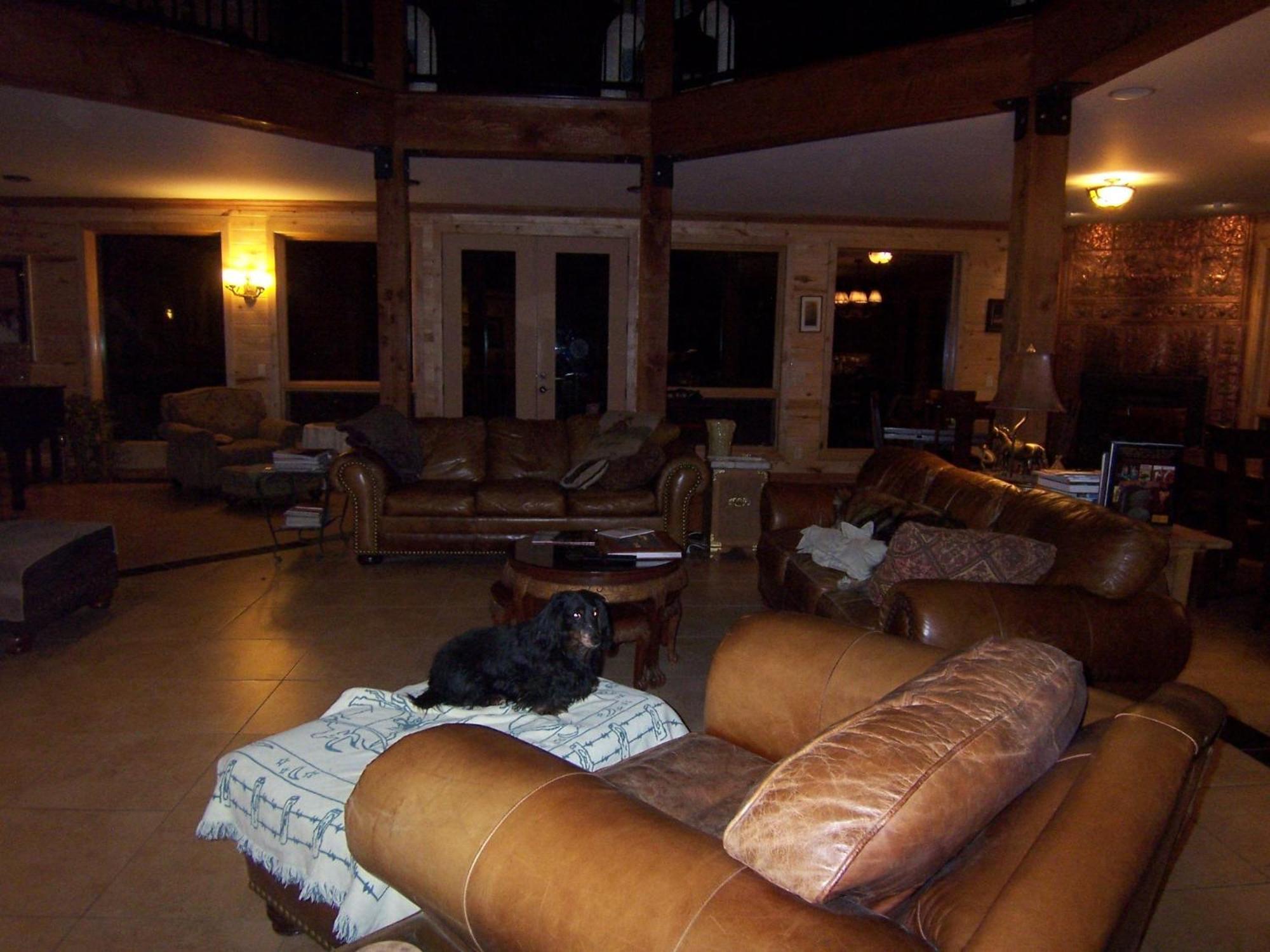 Elktrace Bed And Breakfast Pagosa Springs Zewnętrze zdjęcie
