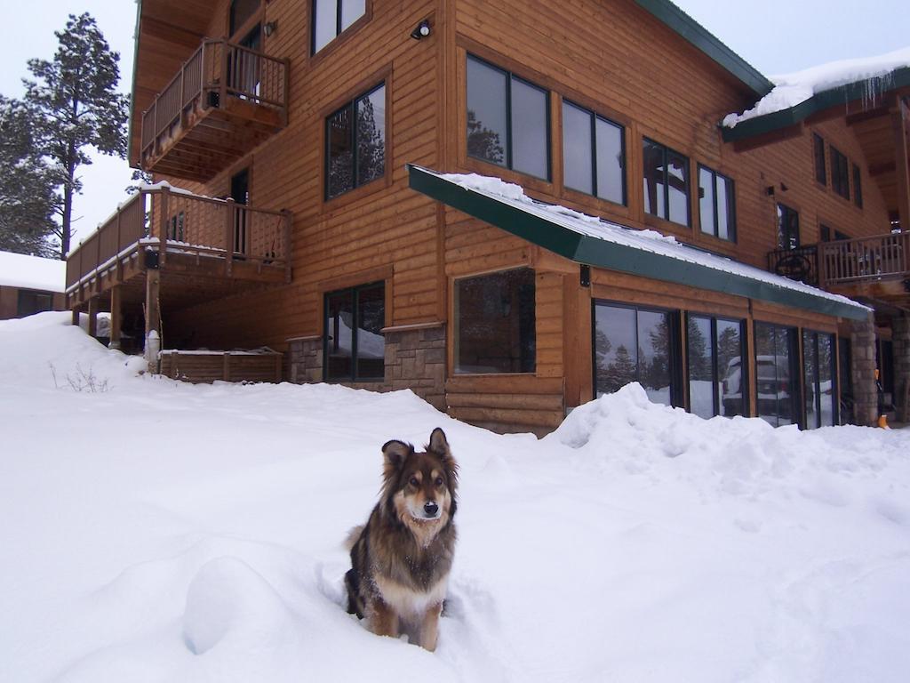 Elktrace Bed And Breakfast Pagosa Springs Zewnętrze zdjęcie